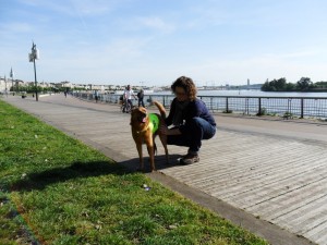 Cityzen Pets Dressage et éducation canine