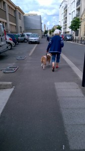 Dressage canin et éducation canine sur Bordeaux et la CUB