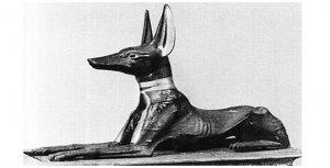 Podenco-Anubis